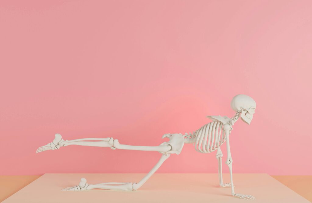 A human skeleton model posing in a yoga stance against a pink backdrop.