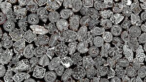 Detailed collection of traditional Indian block print patterns, highlighting cultural artistry.