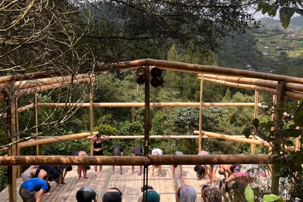 WhatsApp Image 2026-02-04 at 4.49.28 PM (1)